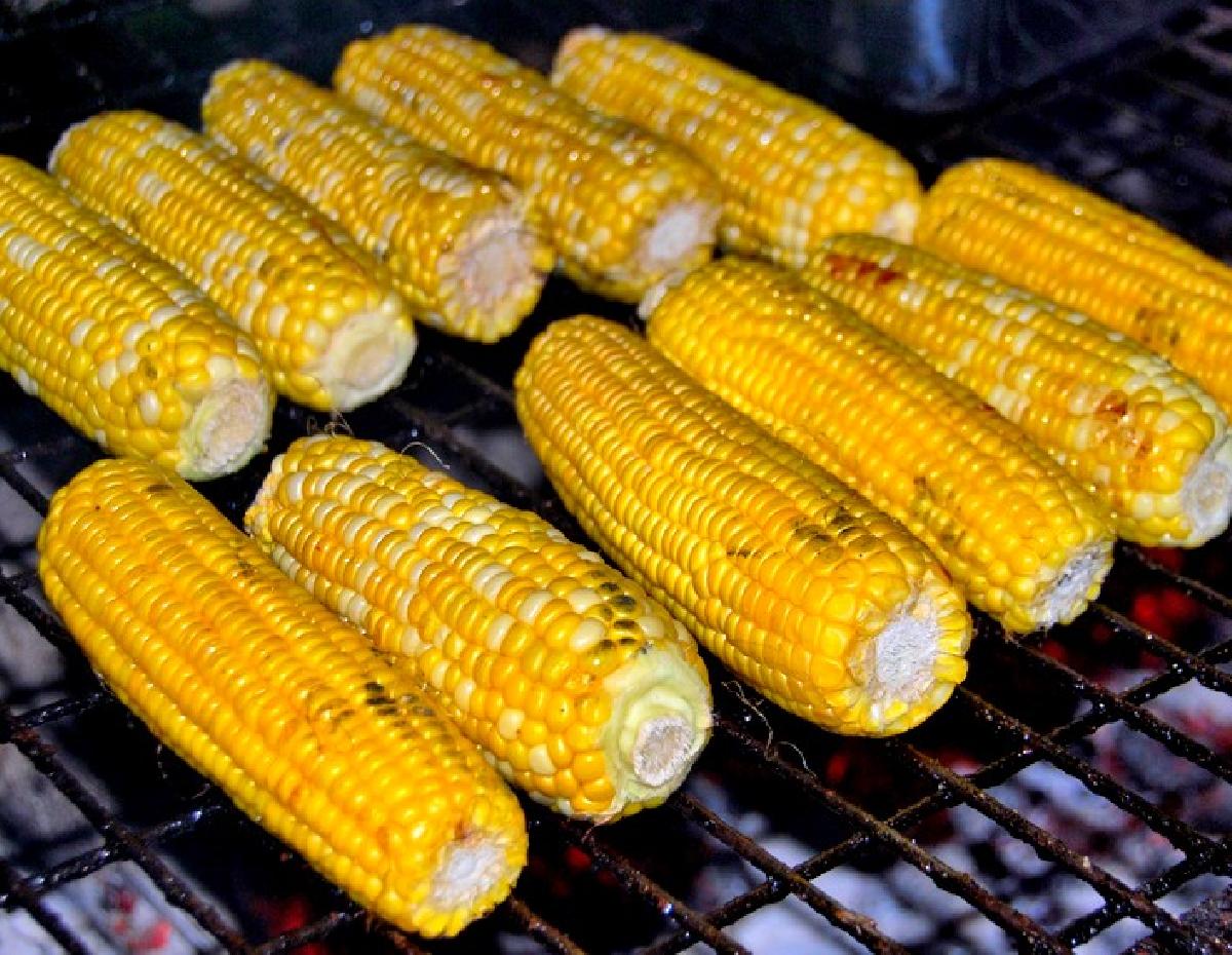 El maíz (elote o choclo) y sus propiedades